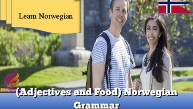 (Adjectives and Food) Norwegian Grammar