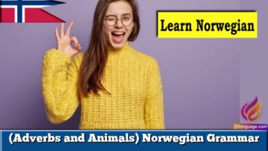 (Adverbs and Animals) Norwegian Grammar