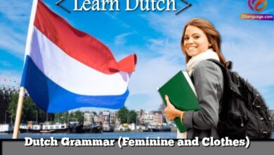 Dutch Grammar (Feminine and Clothes)