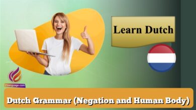 Dutch Grammar (Negation and Human Body)