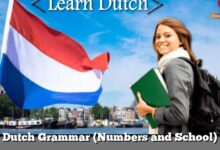 Dutch Grammar (Numbers and School)