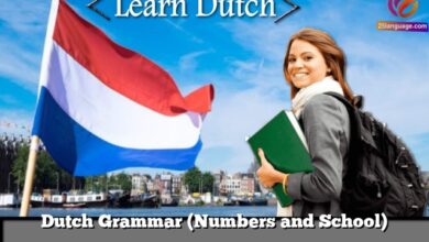 Dutch Grammar (Numbers and School)