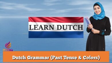 Dutch Grammar (Past Tense & Colors)
