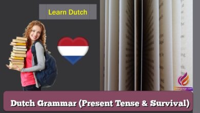 Dutch Grammar (Present Tense & Survival)