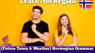 (Future Tense & Weather) Norwegian Grammar
