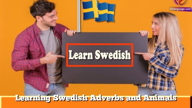 Learning Swedish  Adverbs and Animals