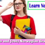 (Nouns and Jobs) Norwegian Grammar