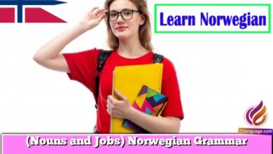 (Nouns and Jobs) Norwegian Grammar
