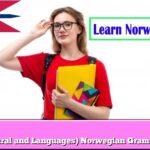 (Plural and Languages) Norwegian Grammar