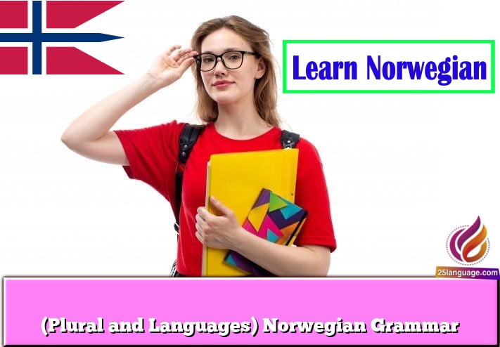 (Plural and Languages) Norwegian Grammar