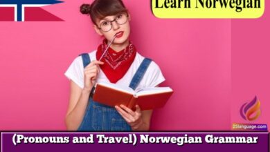 (Pronouns and Travel) Norwegian Grammar