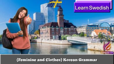 (Feminine and Clothes) Korean Grammar