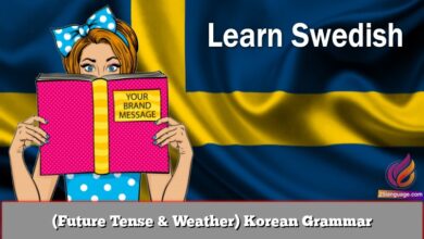 (Future Tense & Weather) Korean Grammar