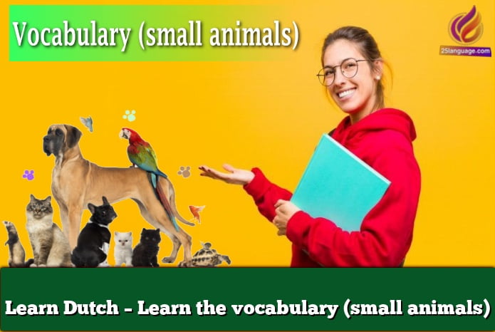 Learn Dutch – Learn the vocabulary (small animals)
