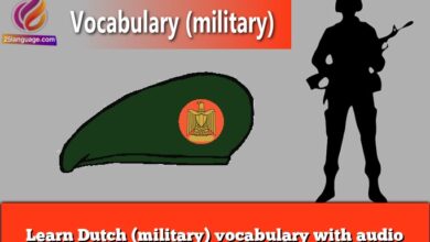Learn Dutch (military) vocabulary with audio