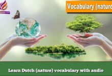 Learn Dutch (nature) vocabulary with audio