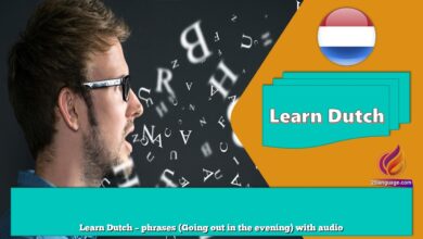 Learn Dutch – phrases (Going out in the evening) with audio