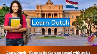 Learn Dutch – Phrases (in the past tense) with audio