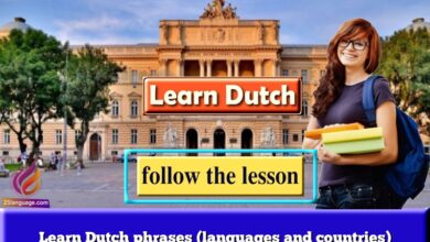 Learn Dutch phrases (languages and countries)