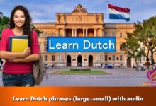 Learn Dutch phrases (large..small) with audio