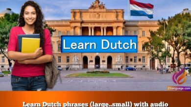 Learn Dutch phrases (large..small) with audio