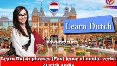 Learn Dutch phrases (Past tense of modal verbs 2) with audio
