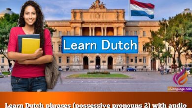 Learn Dutch phrases (possessive pronouns 2) with audio