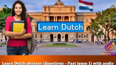 Learn Dutch phrases (Questions – Past tense 1) with audio