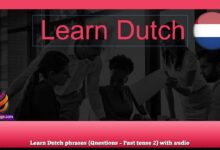 Learn Dutch phrases (Questions – Past tense 2) with audio
