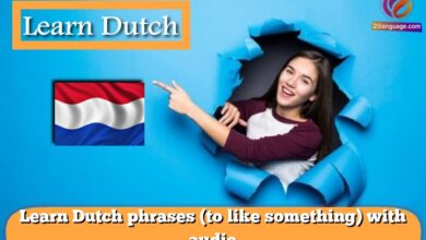 Learn Dutch phrases (to like something) with audio
