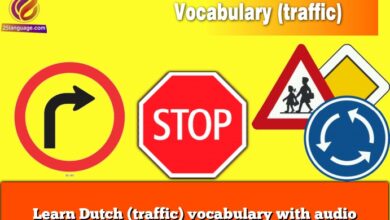 Learn Dutch (traffic) vocabulary with audio