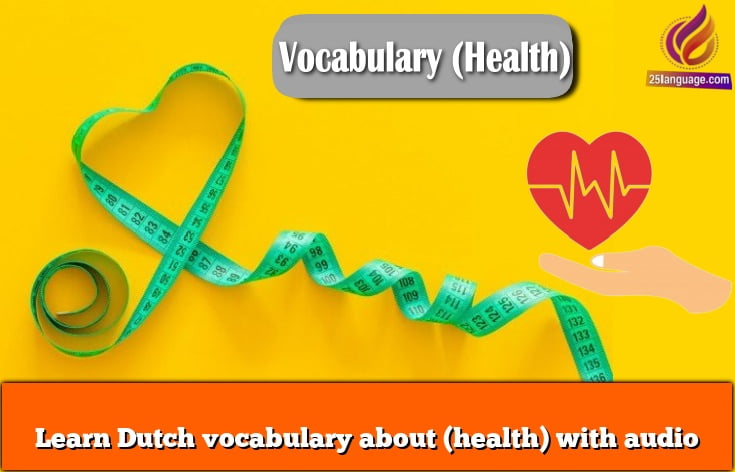 Learn Dutch vocabulary about (health) with audio