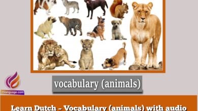 Learn Dutch – Vocabulary (animals) with audio