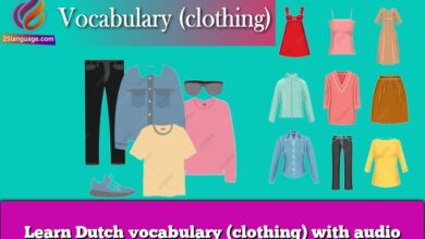 Learn Dutch vocabulary (clothing) with audio