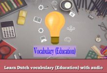 Learn Dutch vocabulary (Education) with audio