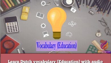 Learn Dutch vocabulary (Education) with audio