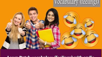 Learn Dutch vocabulary (feelings) with audio