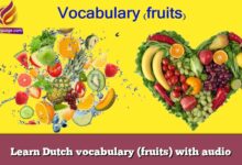 Learn Dutch vocabulary (fruits) with audio