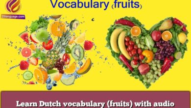 Learn Dutch vocabulary (fruits) with audio