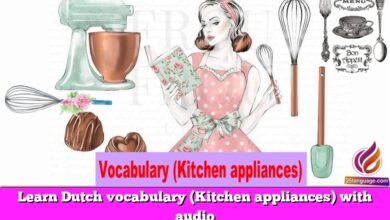 Learn Dutch vocabulary (Kitchen appliances) with audio