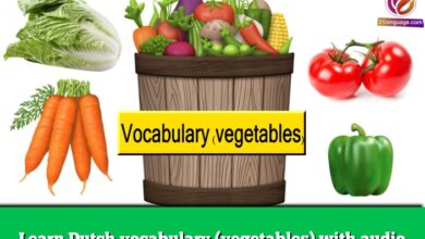 Learn Dutch vocabulary (vegetables) with audio