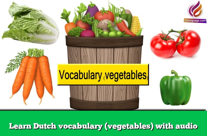 Learn Dutch vocabulary (vegetables) with audio