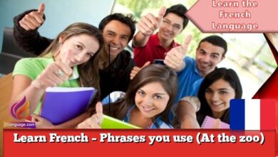 Learn French – Phrases you use (At the zoo)