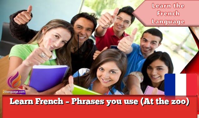 Learn French – Phrases you use (At the zoo)