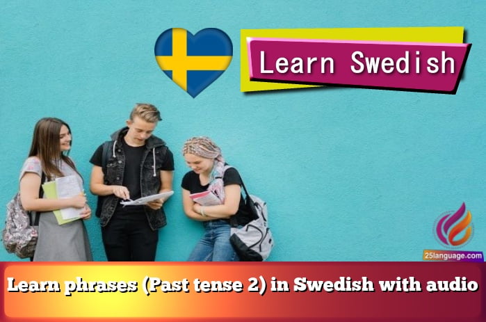 Learn phrases (Past tense 2) in Swedish with audio