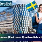 Learn phrases (Past tense 3) in Swedish with audio