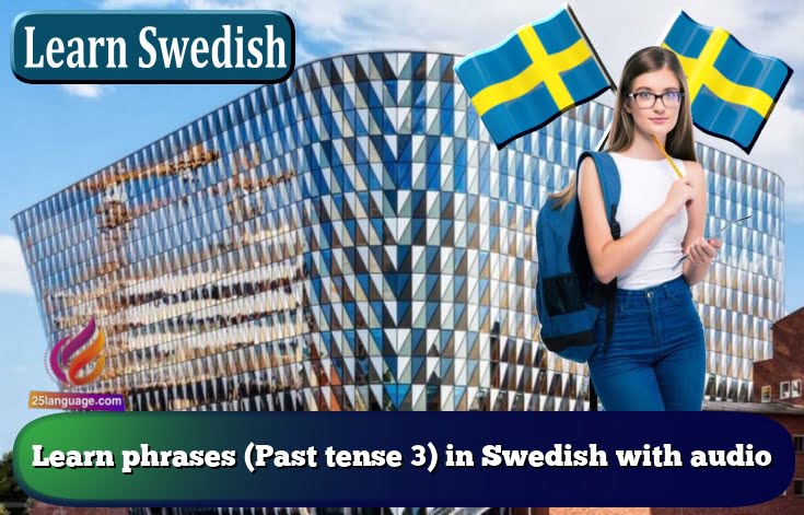 Learn phrases (Past tense 3) in Swedish with audio