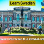 Learn phrases (Past tense 4) in Swedish with audio