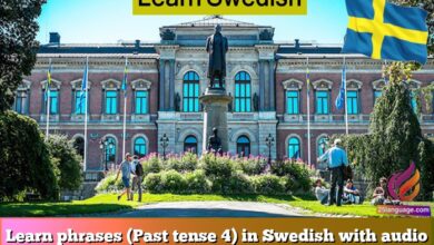 Learn phrases (Past tense 4) in Swedish with audio