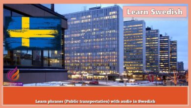 Learn phrases (Public transportation) with audio in Swedish
